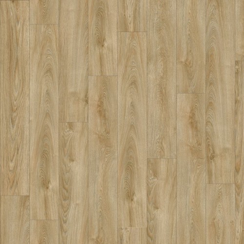 LayRed 55 22240 (Midland Oak)