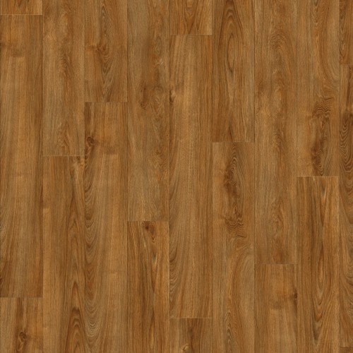 LayRed 55 22821 (Midland Oak)