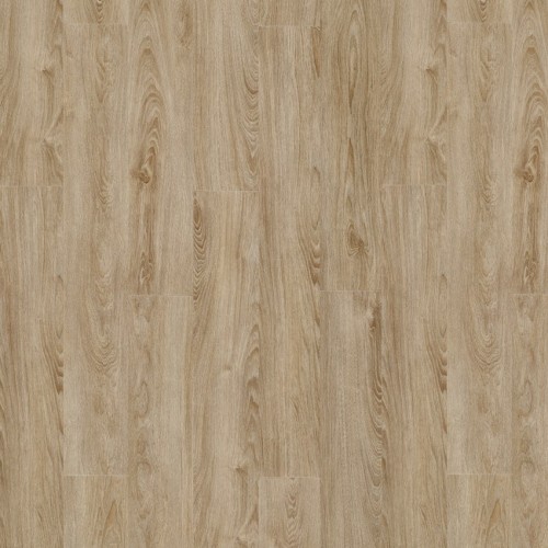 LayRed 55 22231 (Midland Oak)