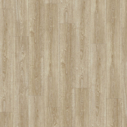 Moduleo 55 Woods 24280 (Verdon Oak)