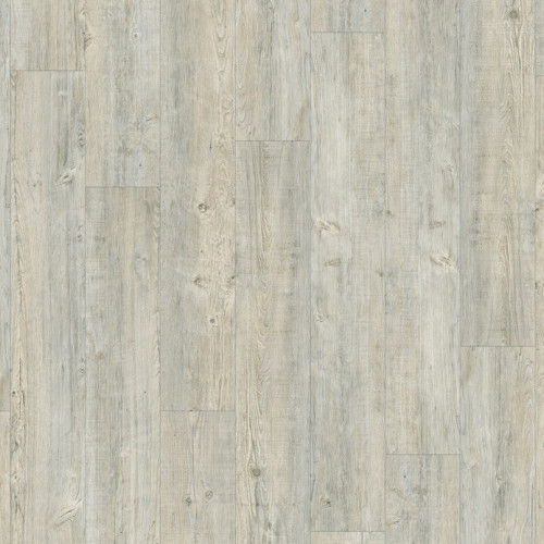 Moduleo 55 Woods 24242 (Latin Pine)