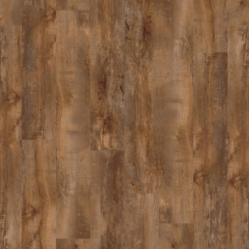 Moduleo 55 Woods 24456 (Country Oak)