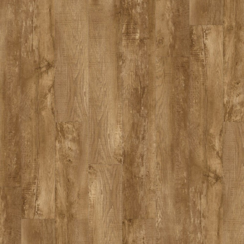 Moduleo 55 Woods 24432 (Country Oak)