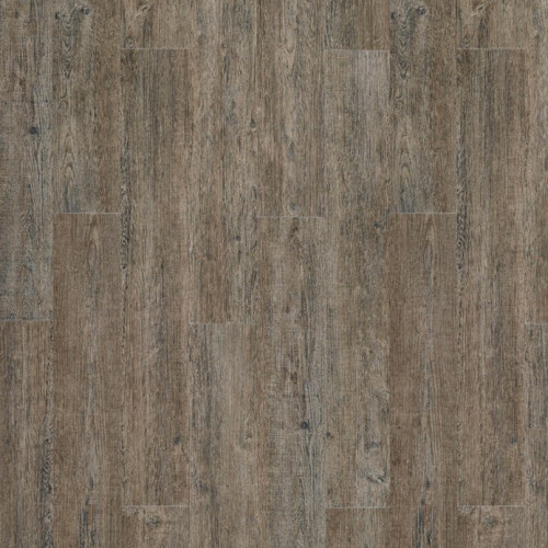 Moduleo 55 Woods 24868 (Latin Pine)