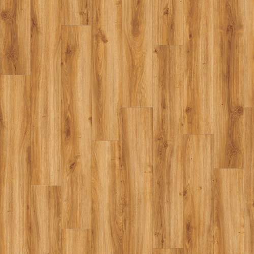 Roots 40 24438 (Classic Oak)