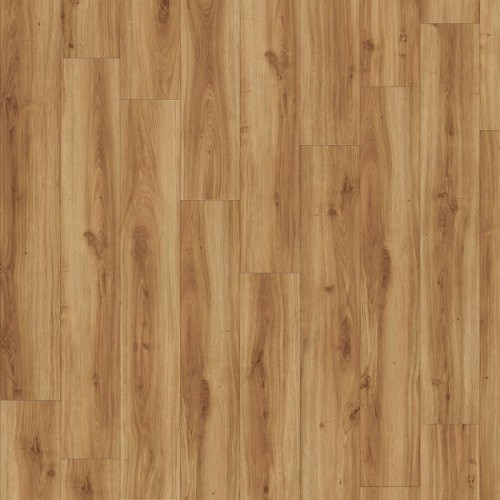 Roots 40 24235 (Classic Oak)