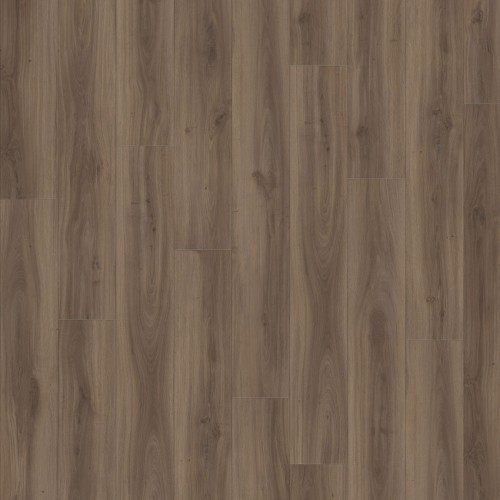 Roots 40 24864 (Classic Oak)