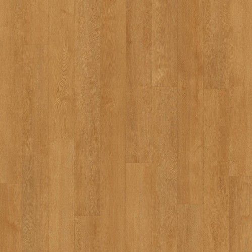 Acczent  Excellence 80 206046094  (XXL Oak)